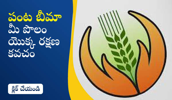 పంట బీమా – మీ పొలం యొక్క రక్షణ కవచం