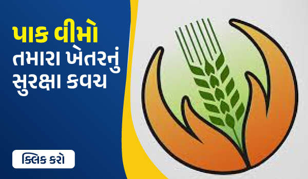 પાક વીમો – તમારા ખેતરનું સુરક્ષા કવચ