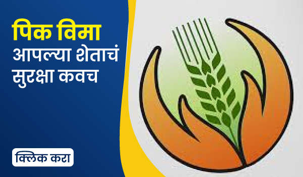 पिक विमा – आपल्या शेताचं सुरक्षा कवच