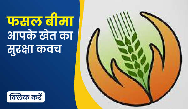 फसल बीमा – आपके खेत का सुरक्षा कवच