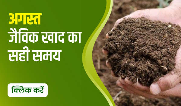 अगस्त – जैविक खाद का सही समय
