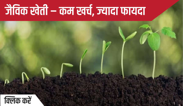 जैविक खेती – कम खर्च, ज्यादा फायदा