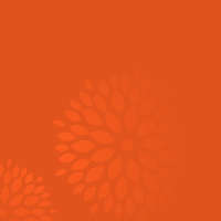 banner_5