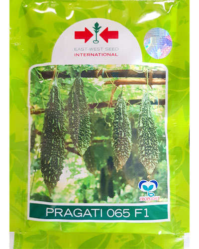East West Seeds East West Pragati 065 Bitter Gourd 50g Seeds Agrostar