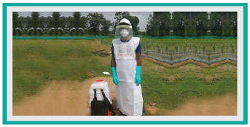 Important precautions to be taken by farmers during spraying