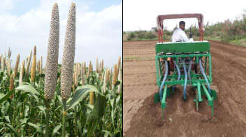 जुलाई में इन कृषि कार्यों पर दें ज्यादा ध्यान, मिलेगा फसल का अच्छा उत्पादन!