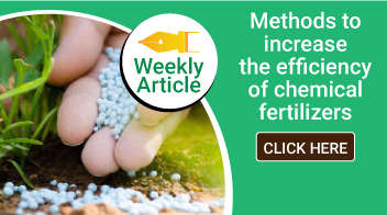 Methods to increase the efficiency of chemical fertilizers