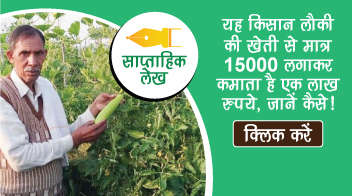 यह किसान लौकी की खेती से मात्र 15000 लगाकर कमाता है एक लाख रुपये, जानें कैसे!