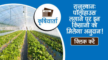 राजस्थान: पॉलीहाउस लगाने पर इन किसानों को मिलेगा अनुदान!