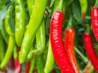 banner_0