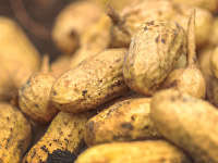 banner_0