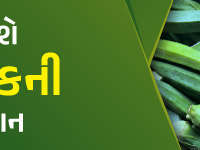 banner_1