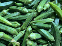banner_2