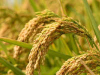 banner_0