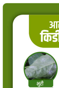banner_0