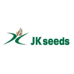 Jk seeds JK 811 Tomato (3000 Seeds) - Agrostar