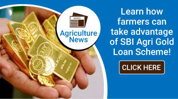 Learn how farmers can take advantage of SBI Agri Gold Loan Scheme!
