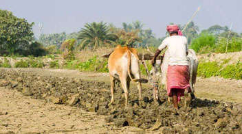 Even without crop insurance scheme, farmers get relief from banks, just they have to do this