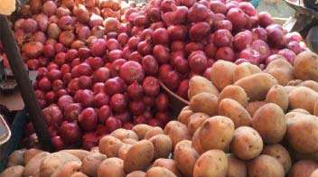 Onion, Tomato Prices to Decrease by 15%