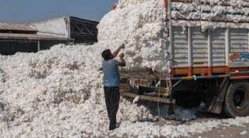 Coronavirus Will Not Affect Cotton Exports