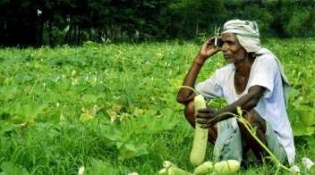 कोविड -19: कृषि विभाग ने किसानों की सहायता के लिए हेल्पलाइन नंबर जारी किये!