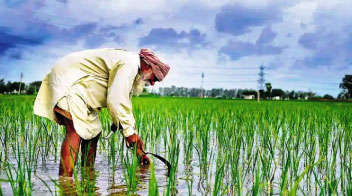 How Farmers Can Get Rs. 36000 Yearly through This Pension Scheme; Check Method to Apply & Other Details