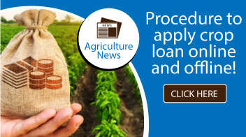 Procedure to apply crop loan online and offline!