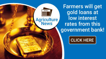 Farmers will get gold loans at low interest rates from this government bank!
