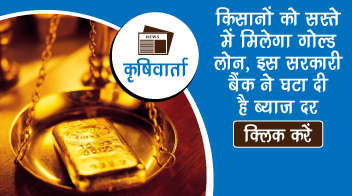 किसानों को सस्ते में मिलेगा गोल्ड लोन, इस सरकारी बैंक ने घटा दी है ब्याज दर!