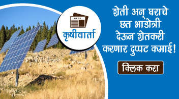 शेती अन् घराचे छत भाडोत्री देऊन शेतकरी करणार दुप्पट कमाई!
