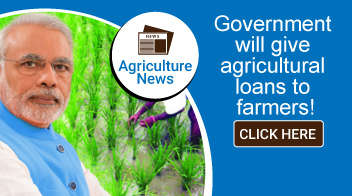 Government will give 15 lakh crore agricultural loans to farmers!

