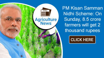PM Kisan Samman Nidhi Scheme: On Sunday, 8.5 crore farmers will get 2 thousand rupees
