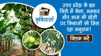 मधुमक्खी पालन, प्रिजरवेशन यूनिट एवं संकर सब्जी उत्पादन के लिए सब्सिडी !