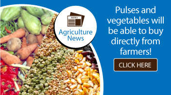 Pulses and vegetables will be able to buy directly from farmers!