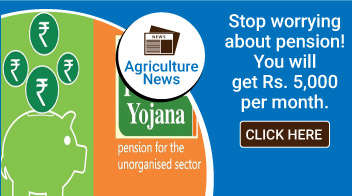 Stop worrying about pension! You will get Rs. 5,000 per month.
