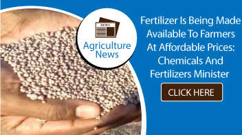 Fertilizer is being made available to farmers at affordable prices: Chemicals and Fertilizers Minister