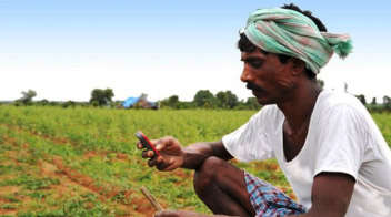 PM Kisan Samman Nidhi Scheme: 8.19 crore Farmers Receive Rs. 2000; Direct Link to Check Status, Payment Details.