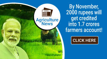 By November, 2000 rupees will get credited into 1.7 crores farmers account!