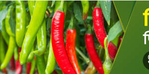 banner_0