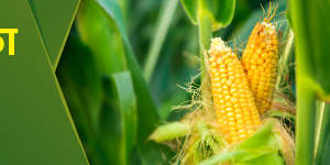 banner_1