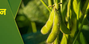 banner_1