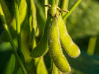 banner_0