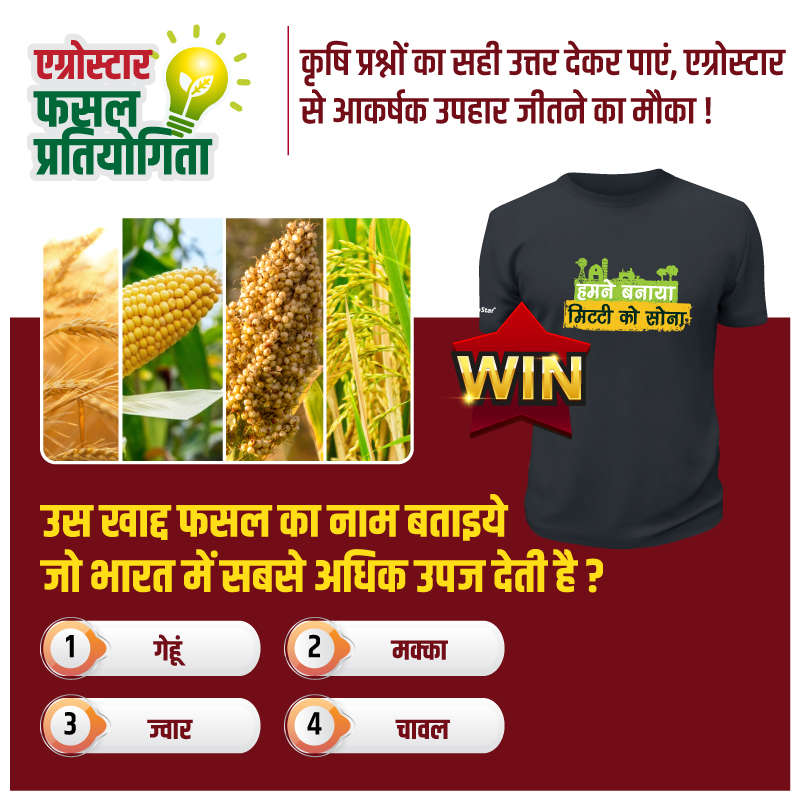 उस खाद्द फसल का नाम बताइये जो भारत में सबसे अधिक उपज देती है!
A. गेहूं 
B. मक्का
C. ज्वार
D. चावल "