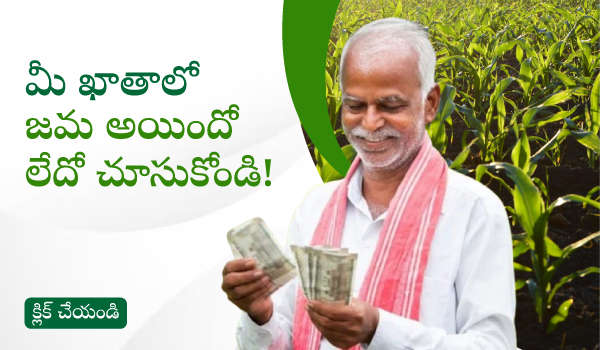 🌾PM కిసాన్ 21వ విడత నిధులు విడుదల