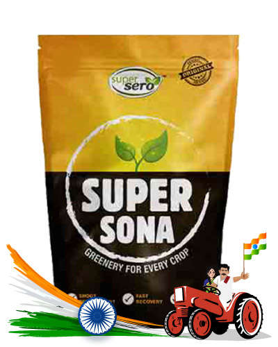 Super Sona (250 Gms)