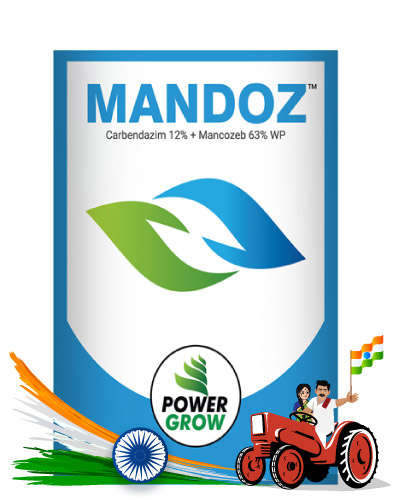 Mandoz (Mancozeb 63% + Carbendazim 12% WP) 250 gm