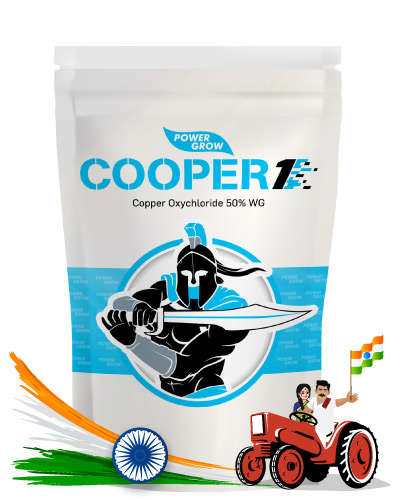 कूपर 1 (कॉपर ऑक्सीक्लोराईड 50% डब्ल्यू जी) 500 ग्रॅम
