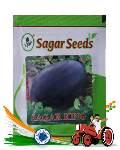 Sagar King Watermelon 50gms seeds