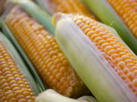 banner_0