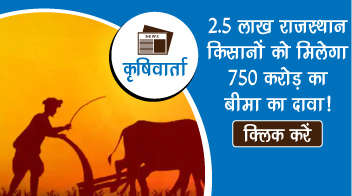2.5 लाख राजस्थान किसानों को मिलेगा 750 करोड़ का बीमा का दावा